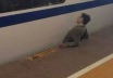 惊恐！高铁站一男子被列车卡住下半身身亡！