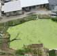 南园二路（富达花园后门附近）房屋背后空地环境污染问题