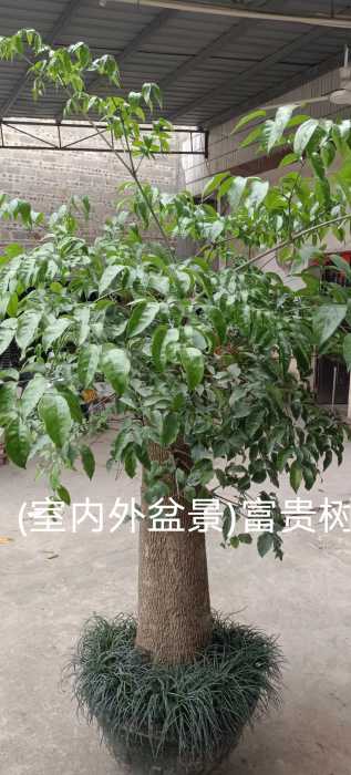 wechat_upload171462543566331b9b0b2d3