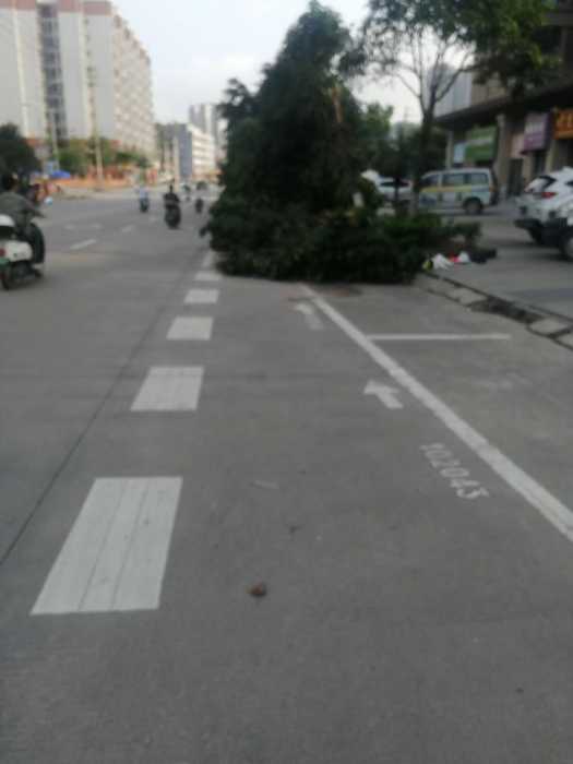 wechat_upload17148671496636cbcd9252f