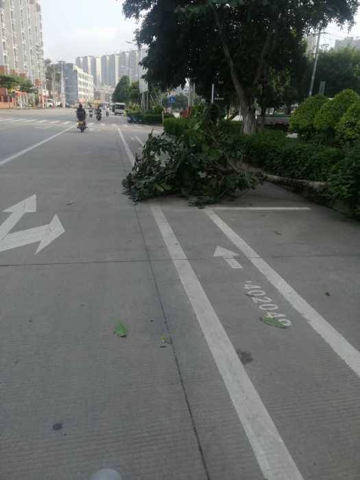 wechat_upload17148671396636cbc3eb7e4