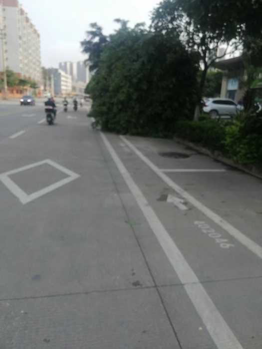 wechat_upload17148671446636cbc8e8a12