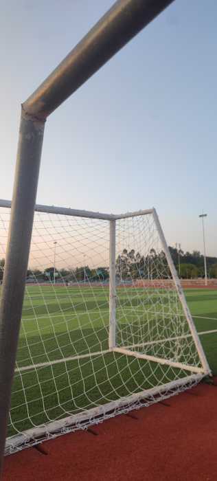 IMG_20241122_071710.jpg