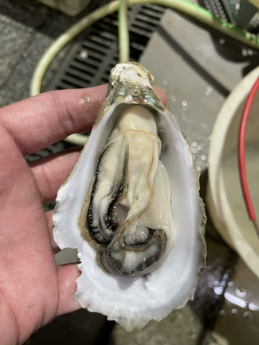 微信图片_20250220095948.jpg
