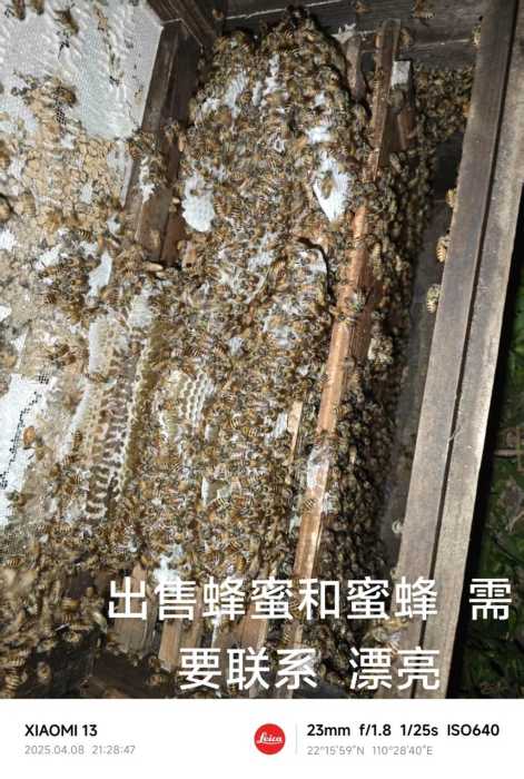 synthesis_ea684c3a-ae4d-4052-ba29-5856d70f0efa_image1744124177970.jpg