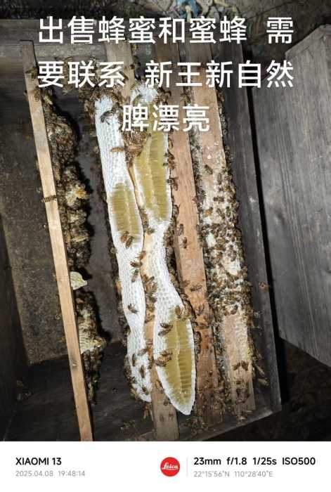synthesis_bb68922c-4a26-4c06-a2da-ba65b4b07532_image1744124178039.jpg