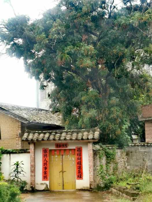 wechat_upload1754232022688f74d6eb547