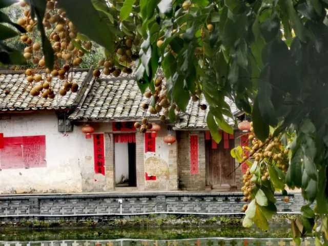 wechat_upload1754232041688f74e96d2e8