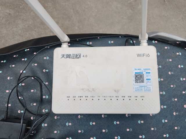 1000043011.jpg