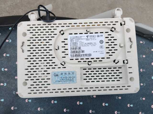 1000043012.jpg