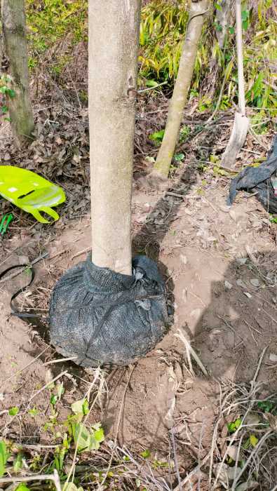 wechat_upload177292239869aca61e3bb90