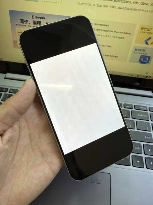 wechat_upload1769688732697b4e9c667fe