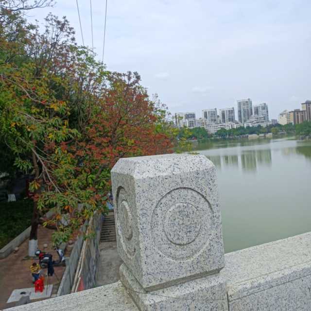 IMG_20260315_143238.jpg