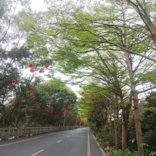 IMG_20260315_140353.jpg