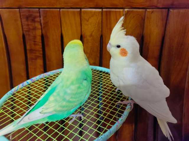 Image_44145177009861.jpg